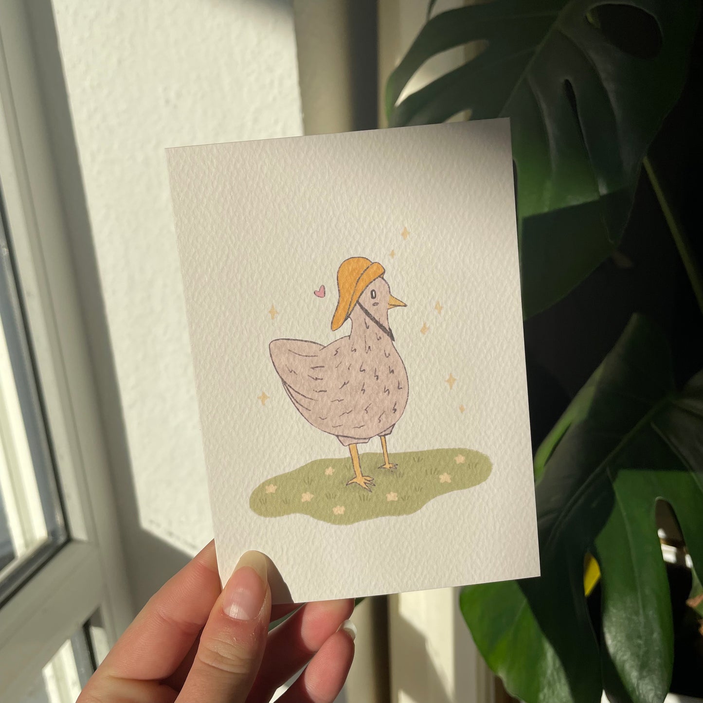 Chicken with rain hat postcard