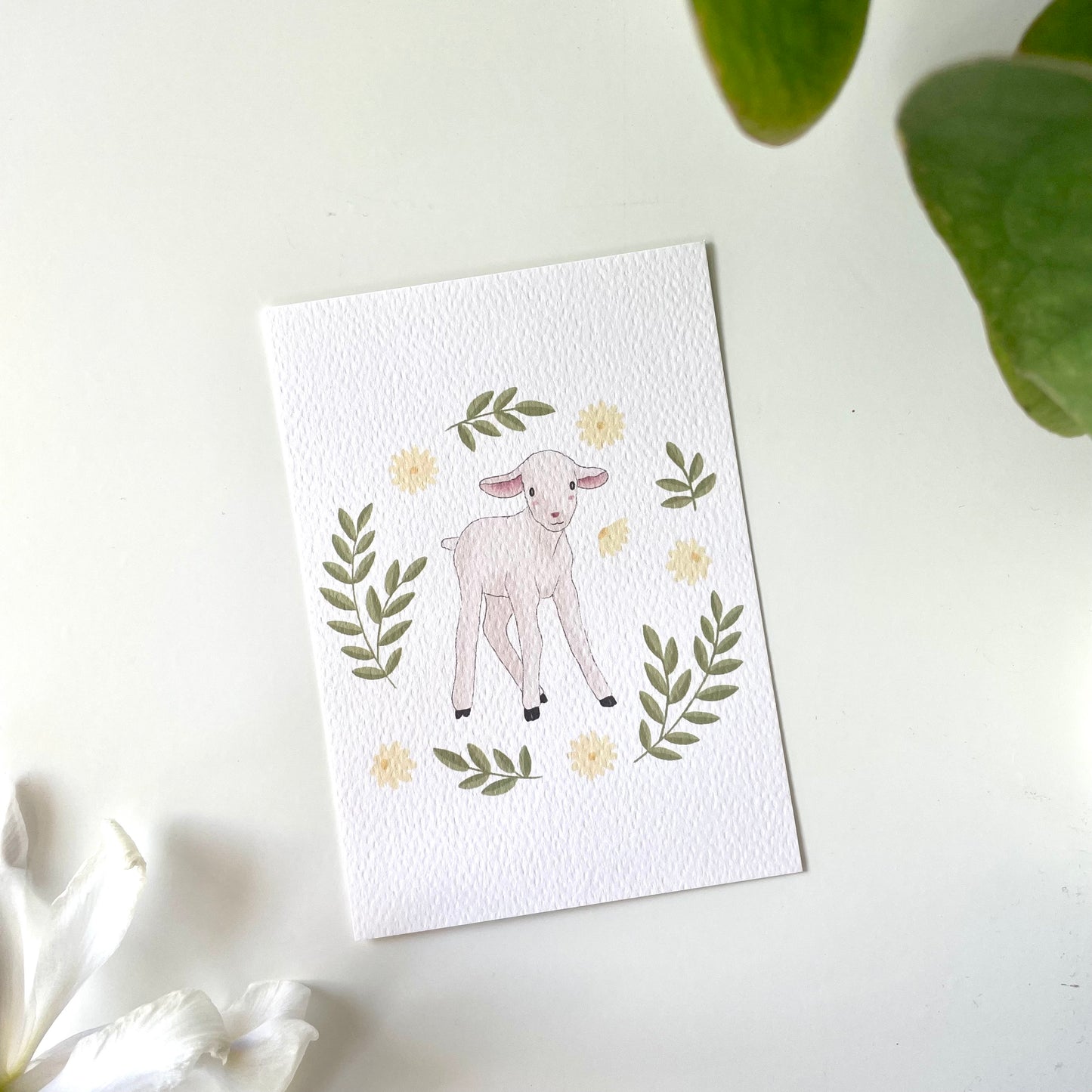 Carte postale d'agneau 