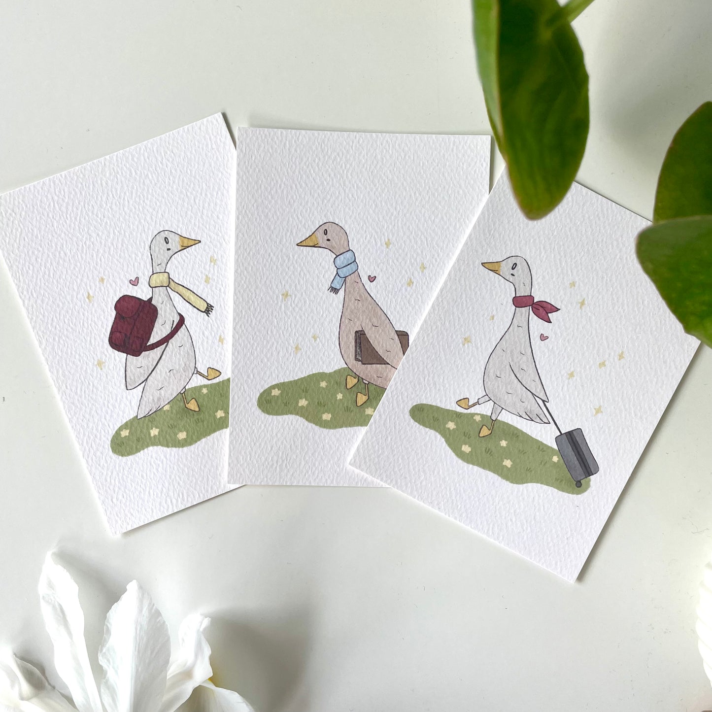Geese card set